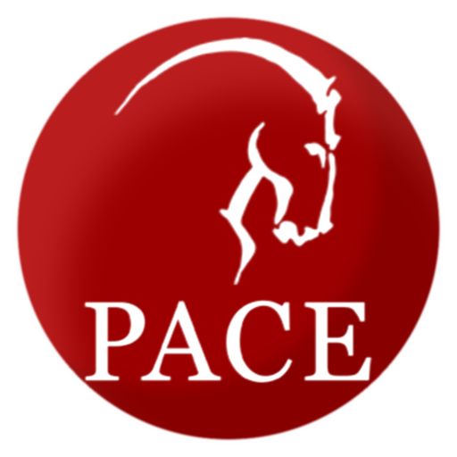 PACE International Academy